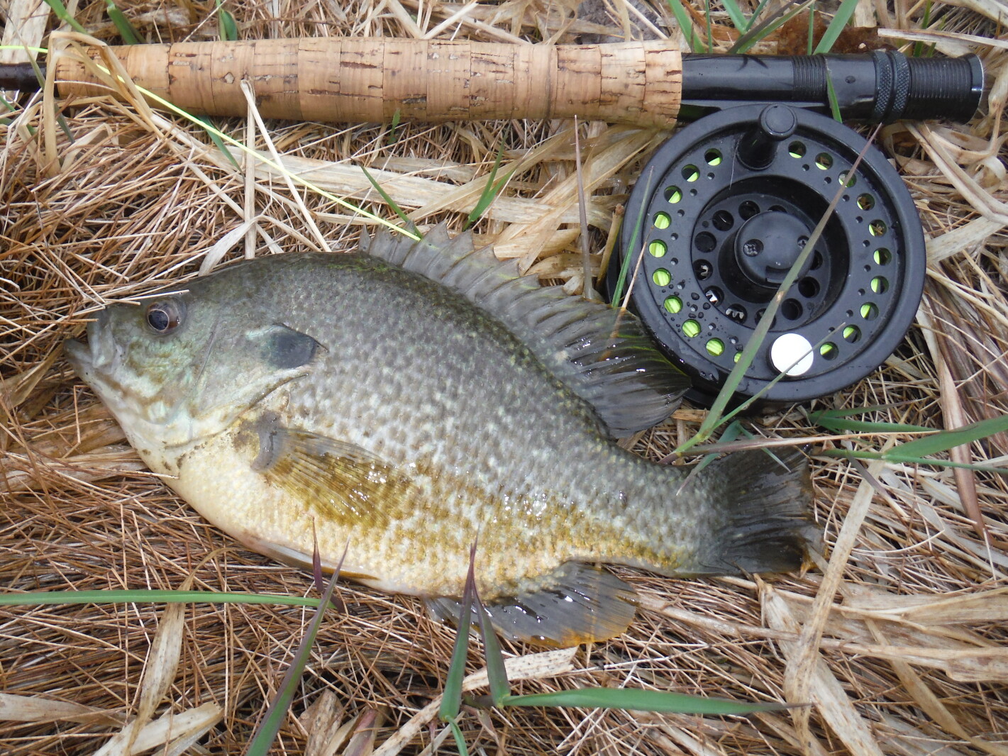 Dakota Edge Outdoors: Pond Pointers