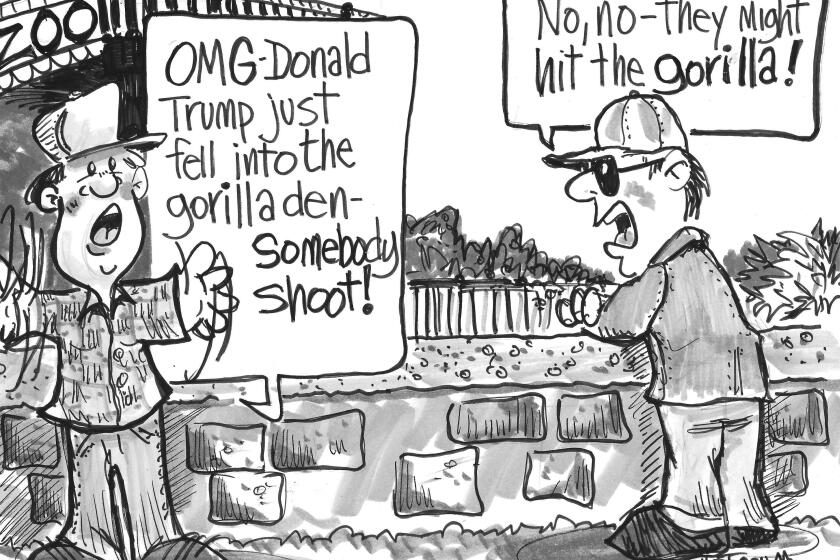 Trump Gorilla.jpg