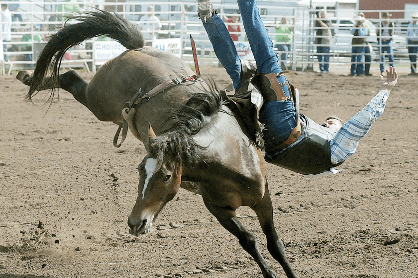Rough rodeo ride - Duluth News Tribune | News, weather, and sports from ...