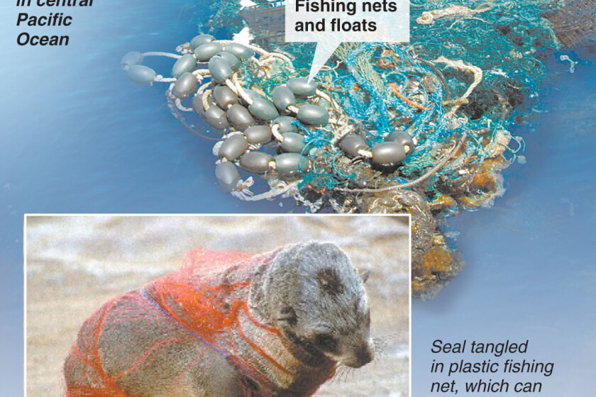 Plastic piling up in Arctic Ocean - Grand Forks Herald | Grand Forks, East Grand Forks news, weather & sports Plastic piling up in Arctic Ocean - Grand Forks Herald | Grand Forks, East Grand Forks news, weather & sports