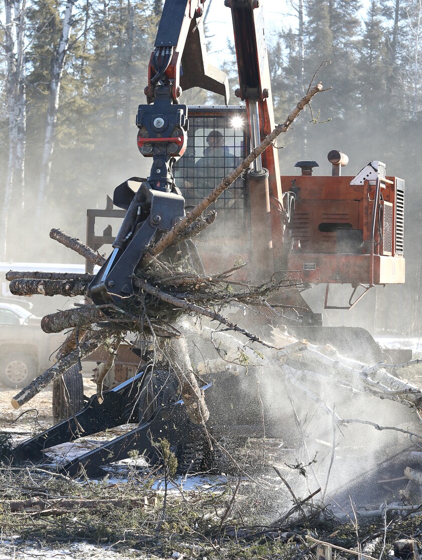 030321.n.dnt.logging2.jpg