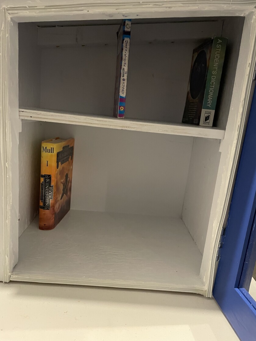 Brainerd Junior Jaycees Little Free Library with books