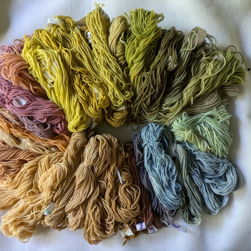 Invasive Species Yarn Dyes Theresa Hortenstein