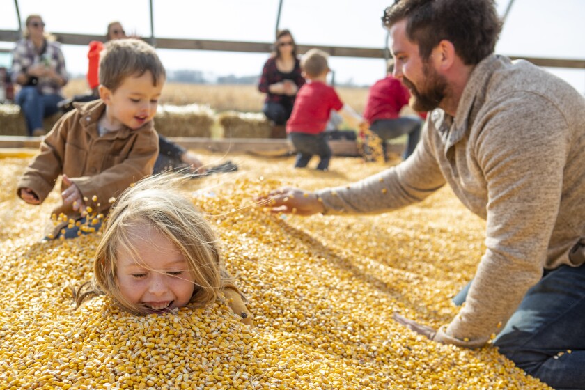 Kandi Land Farm 001.jpg