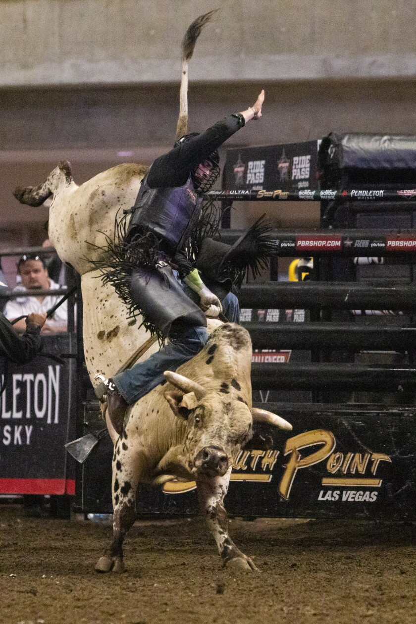 Photos: Professional Bull Riders Challenger Series on Aug. 24, 2024 ...