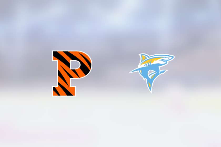 img_500237796_rinklive.png