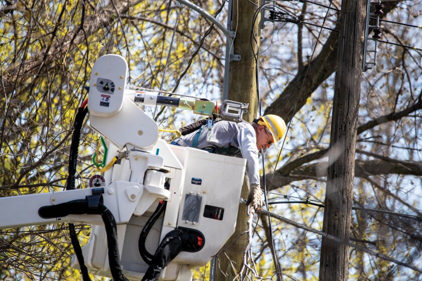 John Zvorak of Otter Tail Power Company removes branches from power lines in Murdock the morning of Friday, May 13, 2022.