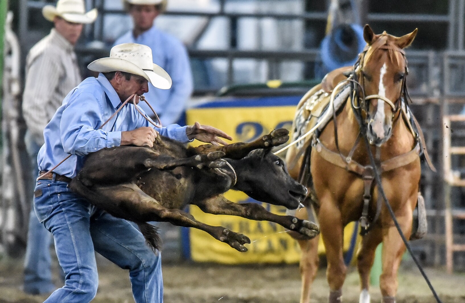Corn Palace Stampede Rodeo: Scofield at home in Wessington Springs ...