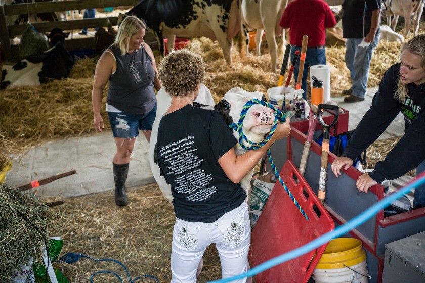 Wabasha County Fair