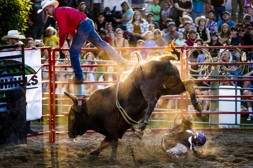 PHOTOS: Bull riding at Kandiyohi County Fair - West Central Tribune ...