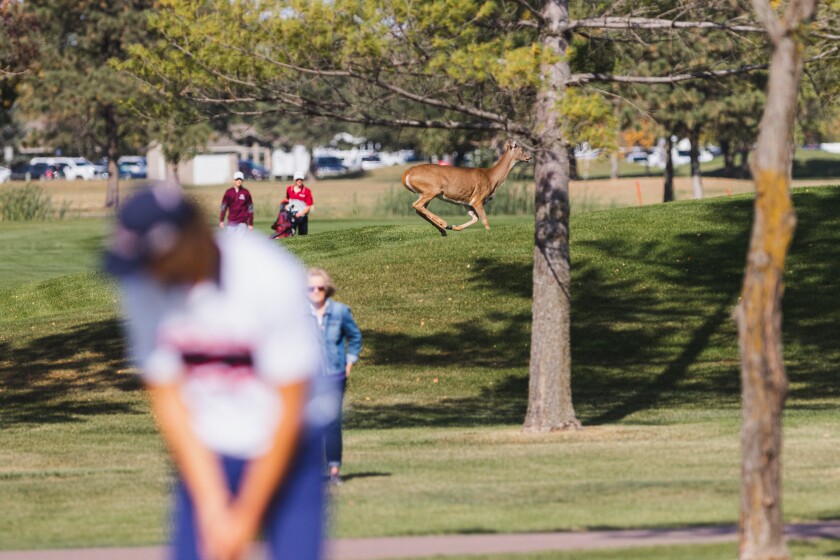 10-3-22AABoysStateGolfTournament-23.jpg