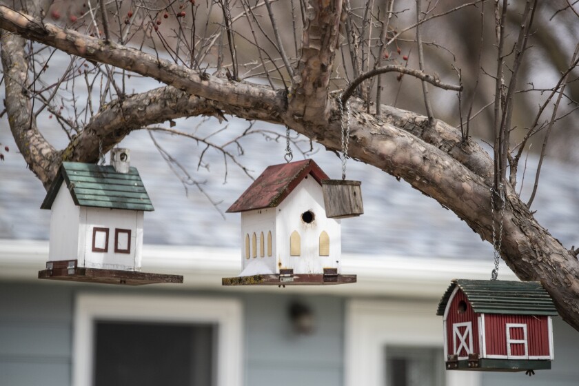 A trio of birdhouses and one bird outhouse sit vacant along 14th Street Southwest in downtown Willmar Friday, April 15, 2022.