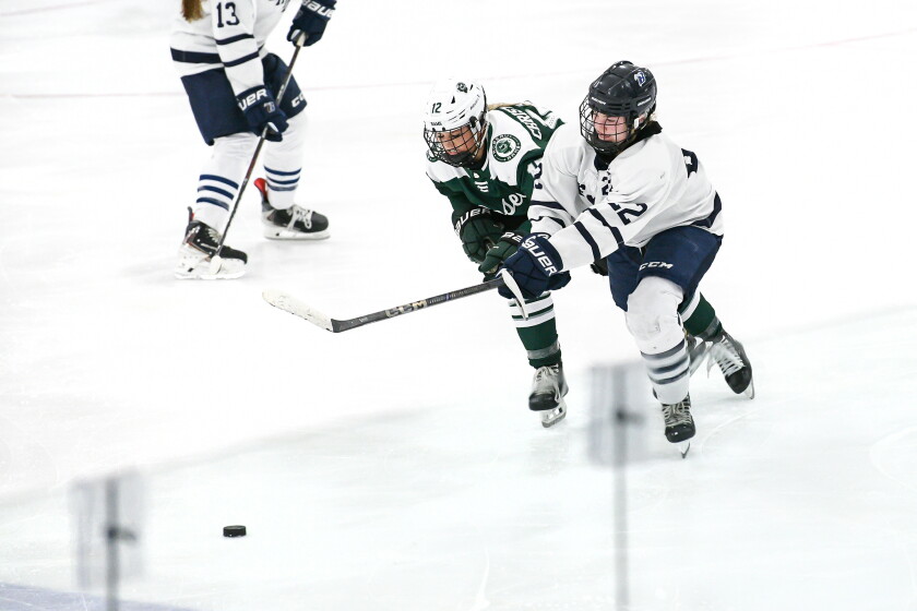 Lily Rupp Bemidji knocks off Roseau behind Lily Lauer’s 18 saves, Bailey Rupp’s ...