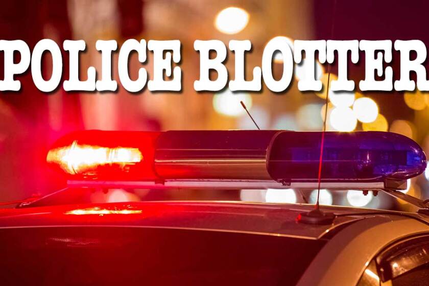 Police Blotter - April 12 - Brainerd Dispatch 2 0216_police-blotter.jpg