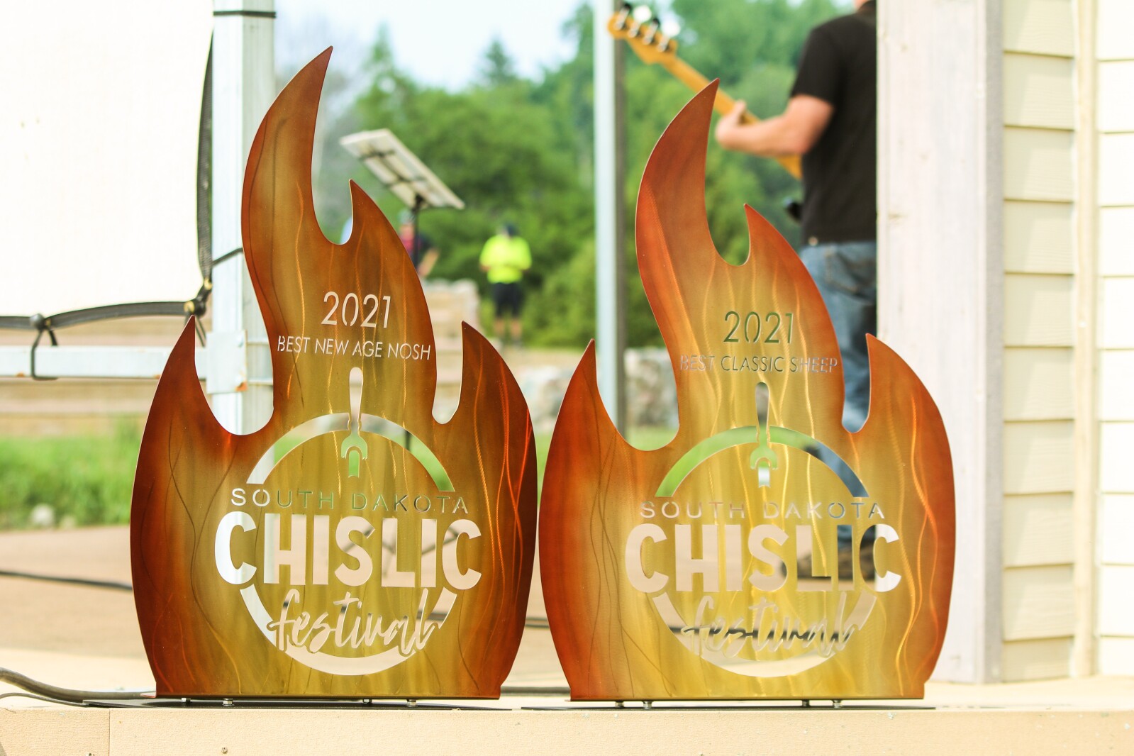 080221.N.DR.CHISLIC1.jpg