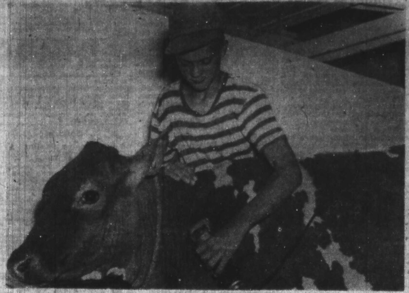 081222.N.Past.Maple Poultry 1.jpg