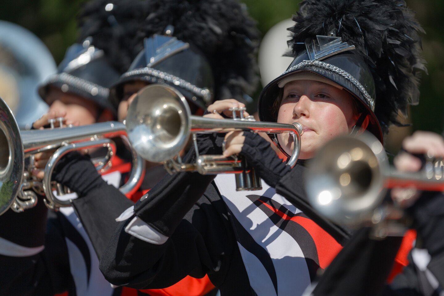 Viola Mn Photos: Viola Gopher Count Parade on June 20, 2024 - Post Bulletin ...