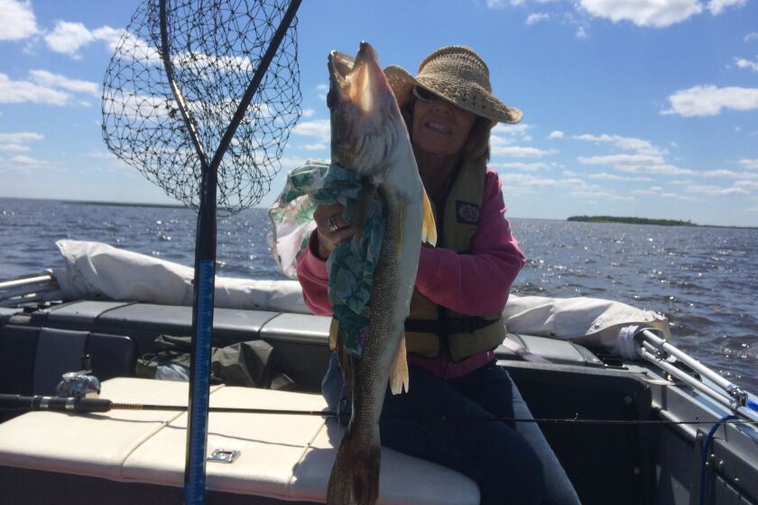 2634250+Carol Fontaine 26 inch walleye.jpg
