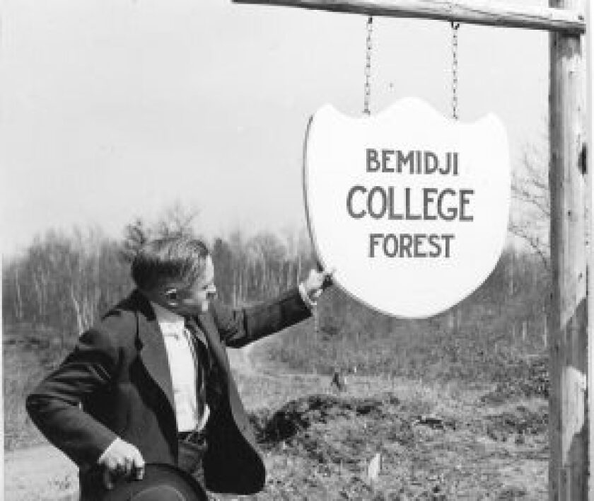 Forest3.jpg
