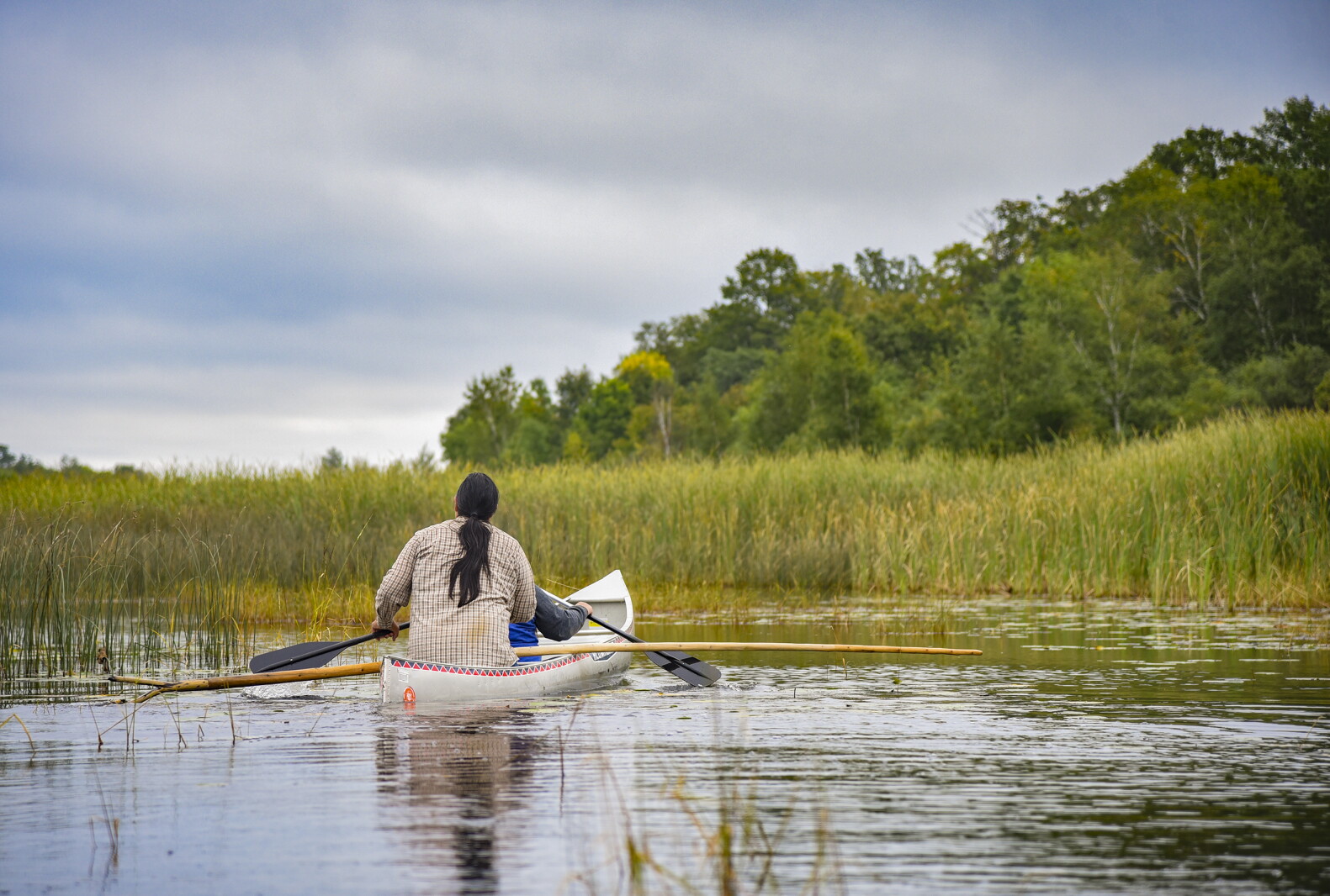Wild Rice Helper Minnesota DNR offers tips as wild rice season approaches - The Bemidji ...