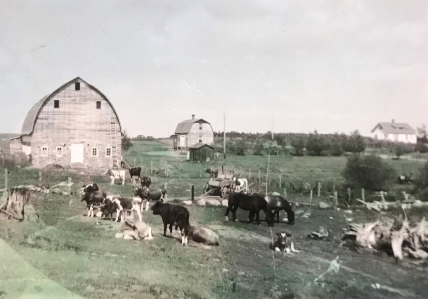 041620.N.PJ.CenturyFarm_2.jpg
