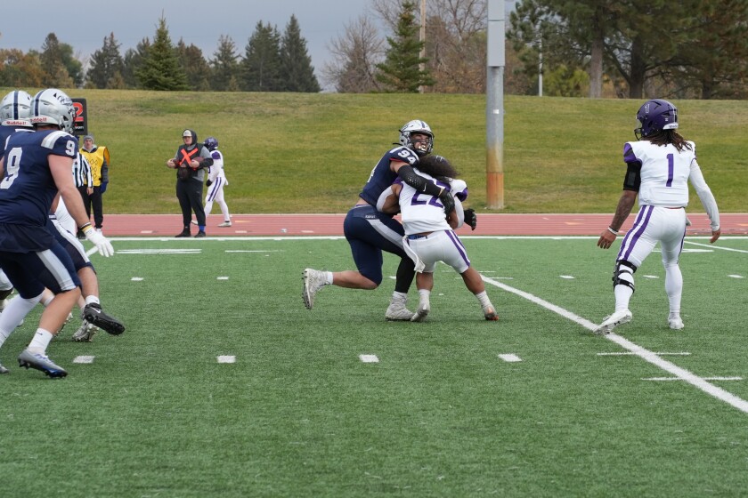 DSC02210_crop.jpg