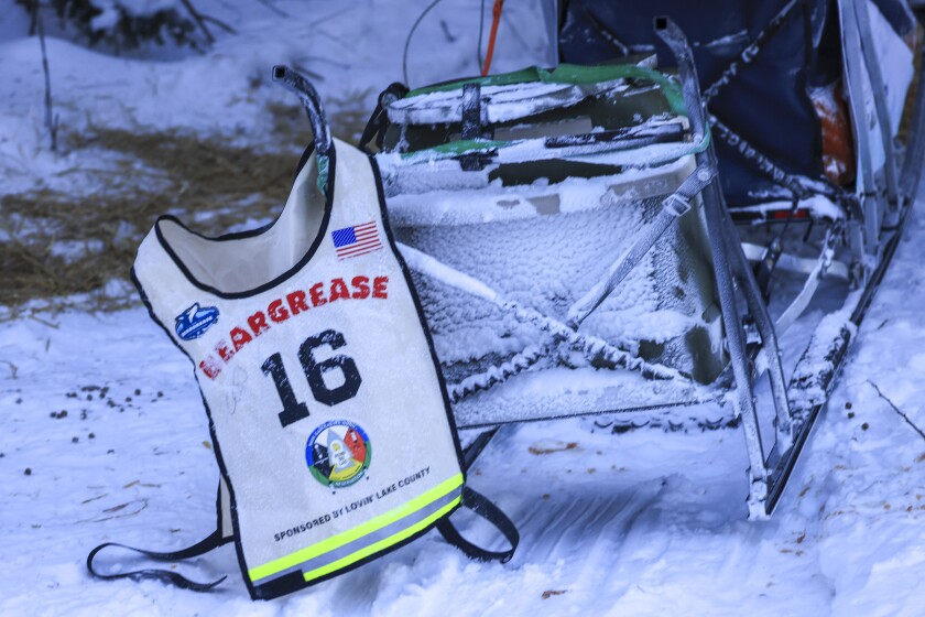 dog sled race