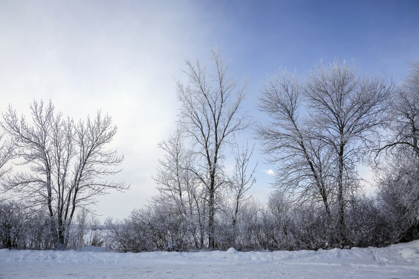 010723.N.BP.FROST - 14.jpg