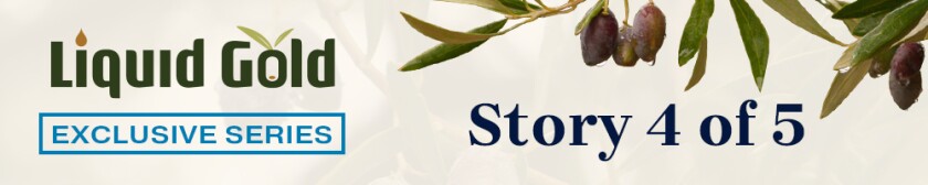 An image with olives and leaves in the corner reads Liquid Gold, Exclusive Series, Story 4 of 5.