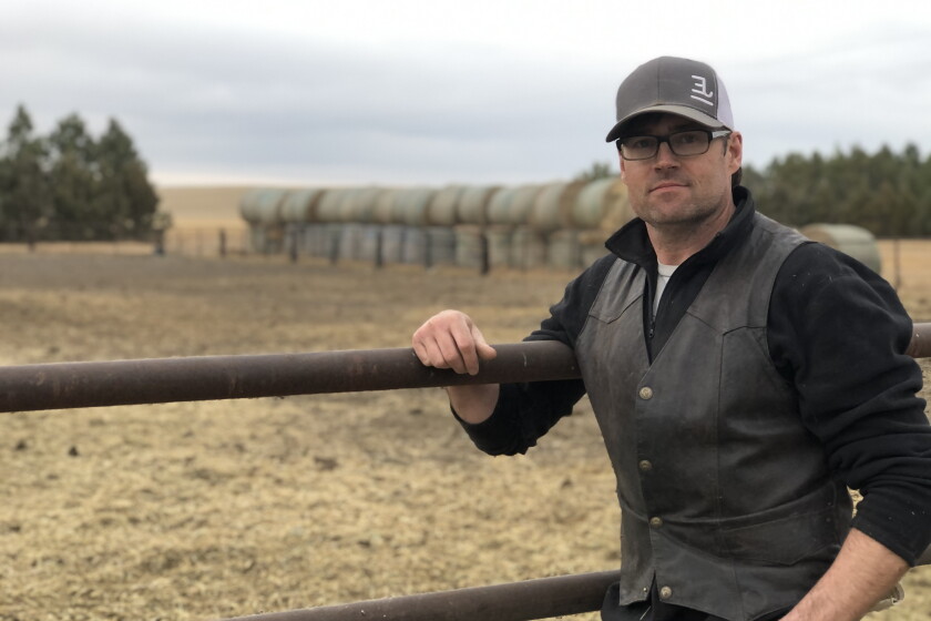 Bull Owner Ranch Taking the bull by the horns: A rodeo veteran's journey to breeding ...