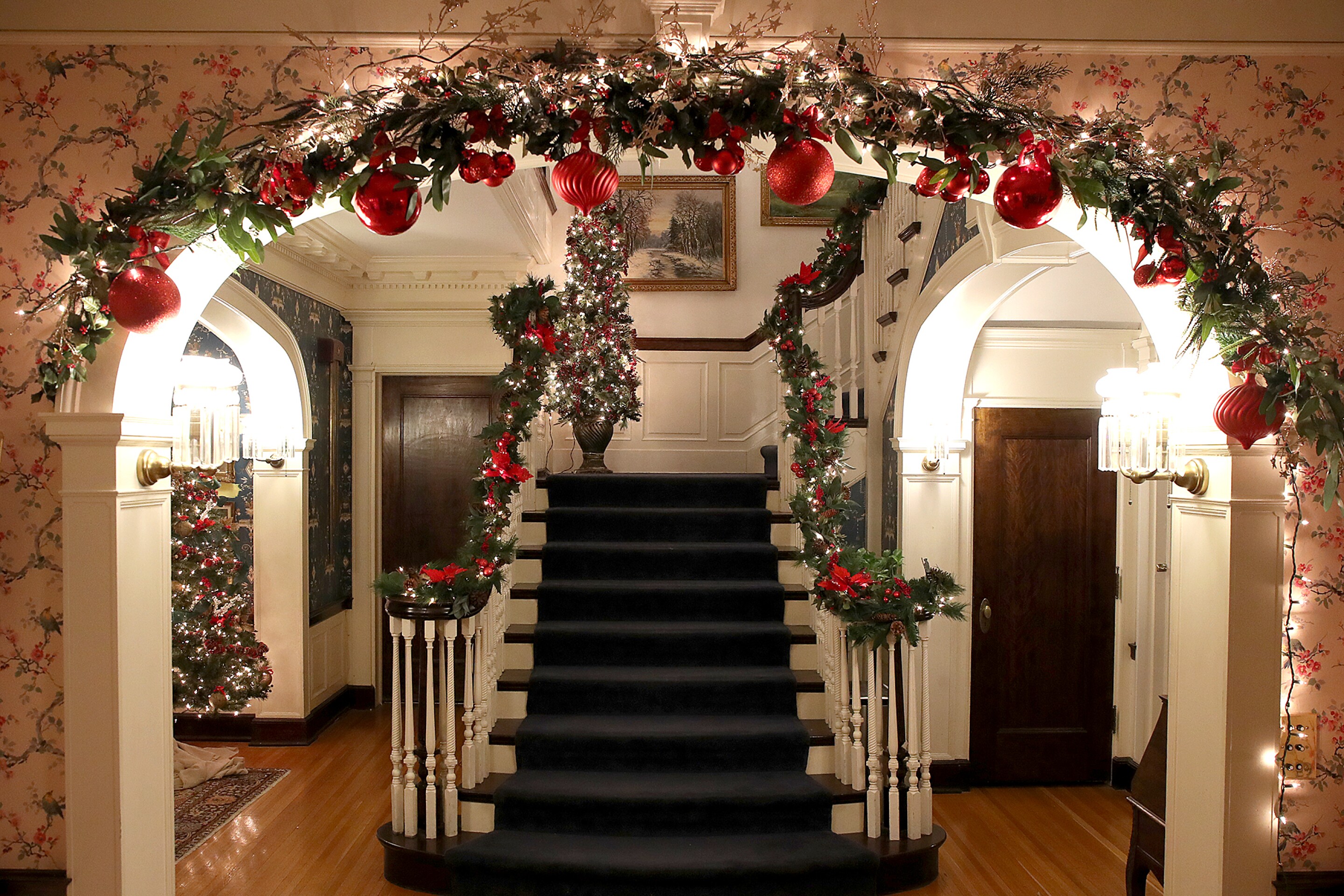 Marcia Hales Christmas Lights 2025