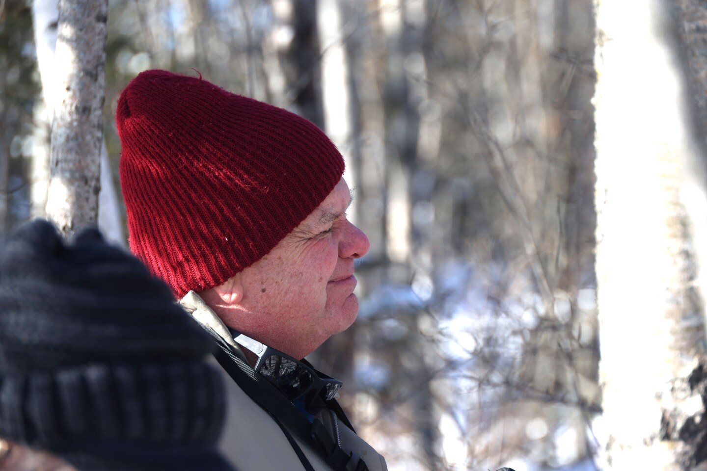 Man admires pileated woodpecker