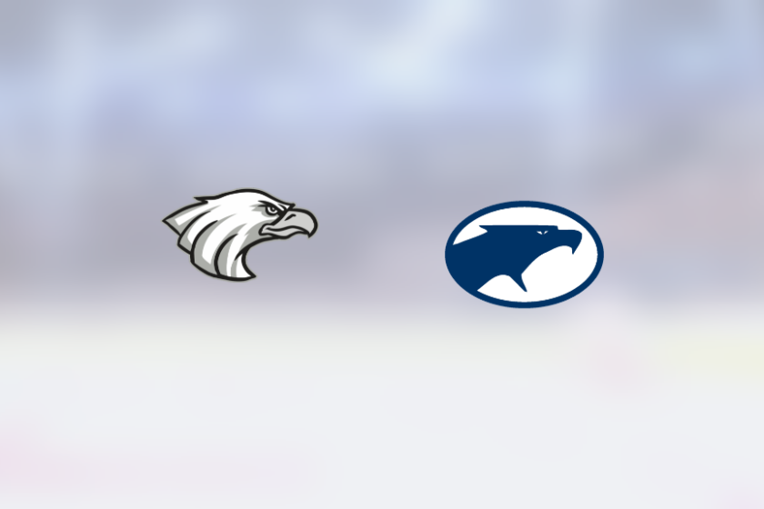 img_500232135_rinklive.png