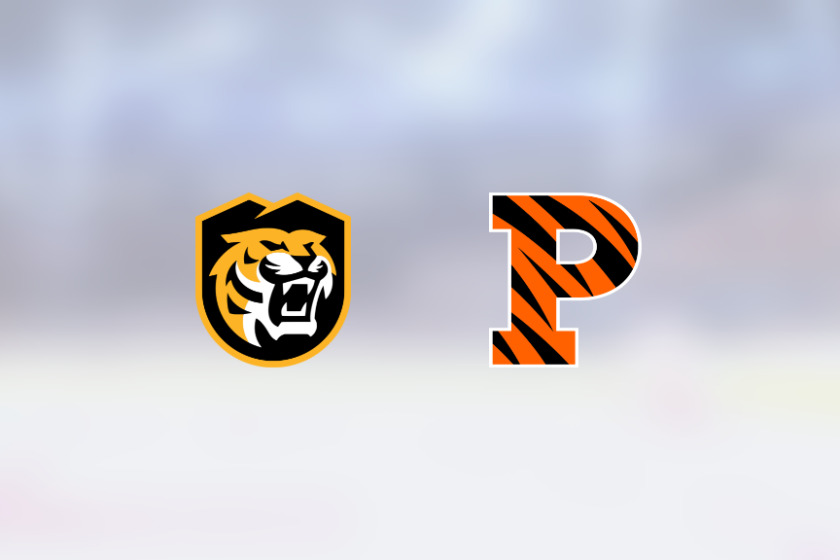 img_500212184_rinklive.png