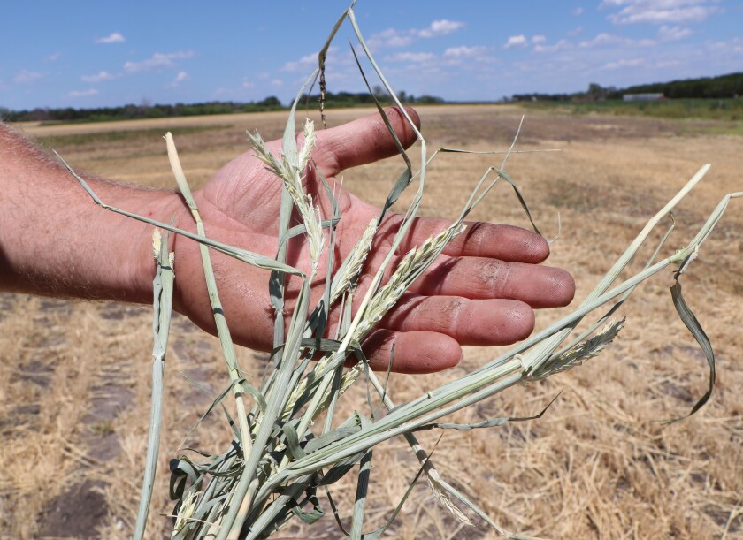 071921.AG.DroughtCountermoveAlpenaSD06.jpg