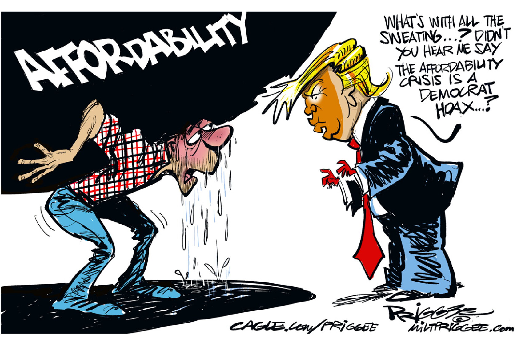Qpoint Cartoon Editorial cartoon for Friday, Jan. 2, 2026 - Duluth News Tribune | News ...