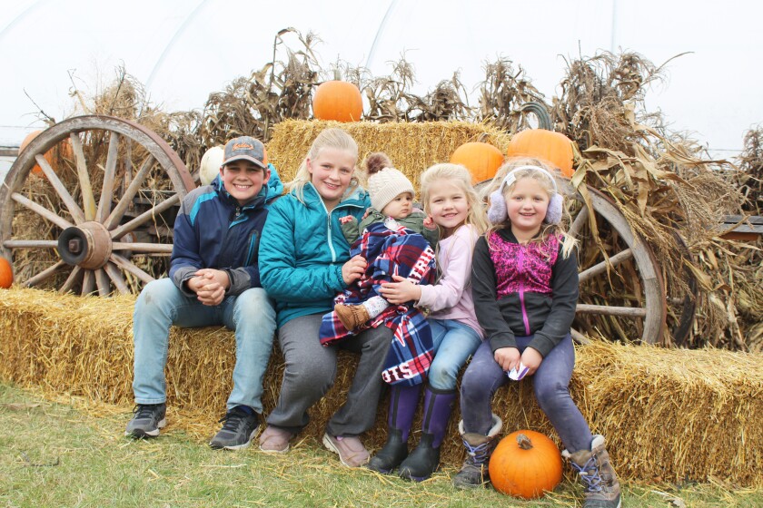 Pumpkins.jpg