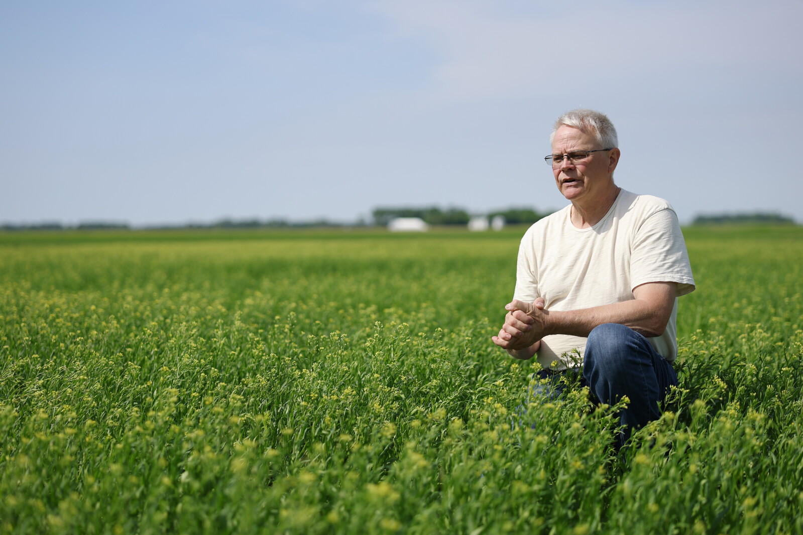 Converting to no-till takes patience, but experts say it's worth it to save the soil