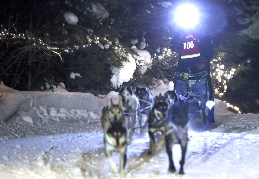 Dog team nears finish.
