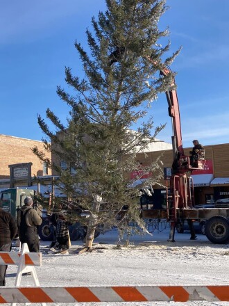 RaisingXmasTree112322.N.PRE.jpg