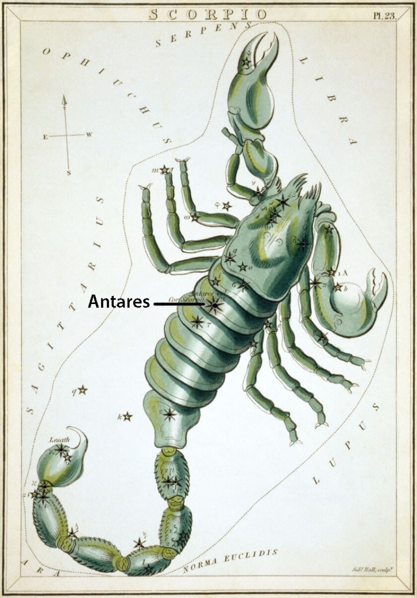 Scorpius form