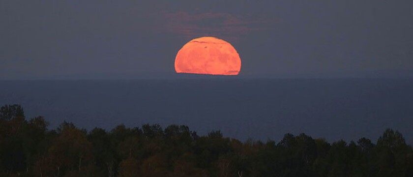 Moonrise