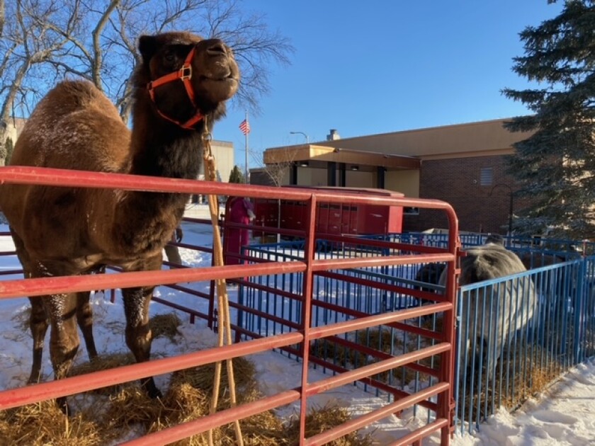 Live nativity 1.jpeg