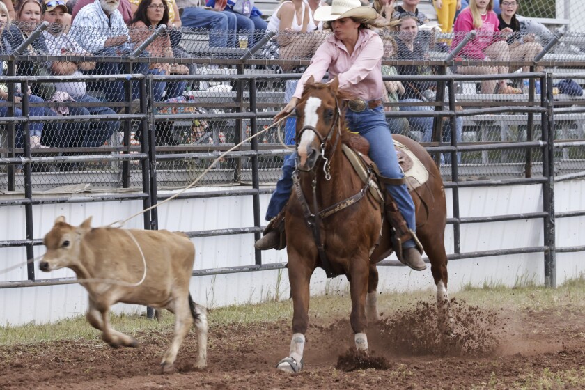 Spring Fever Days rodeo provides community connection - Cloquet Pine ...