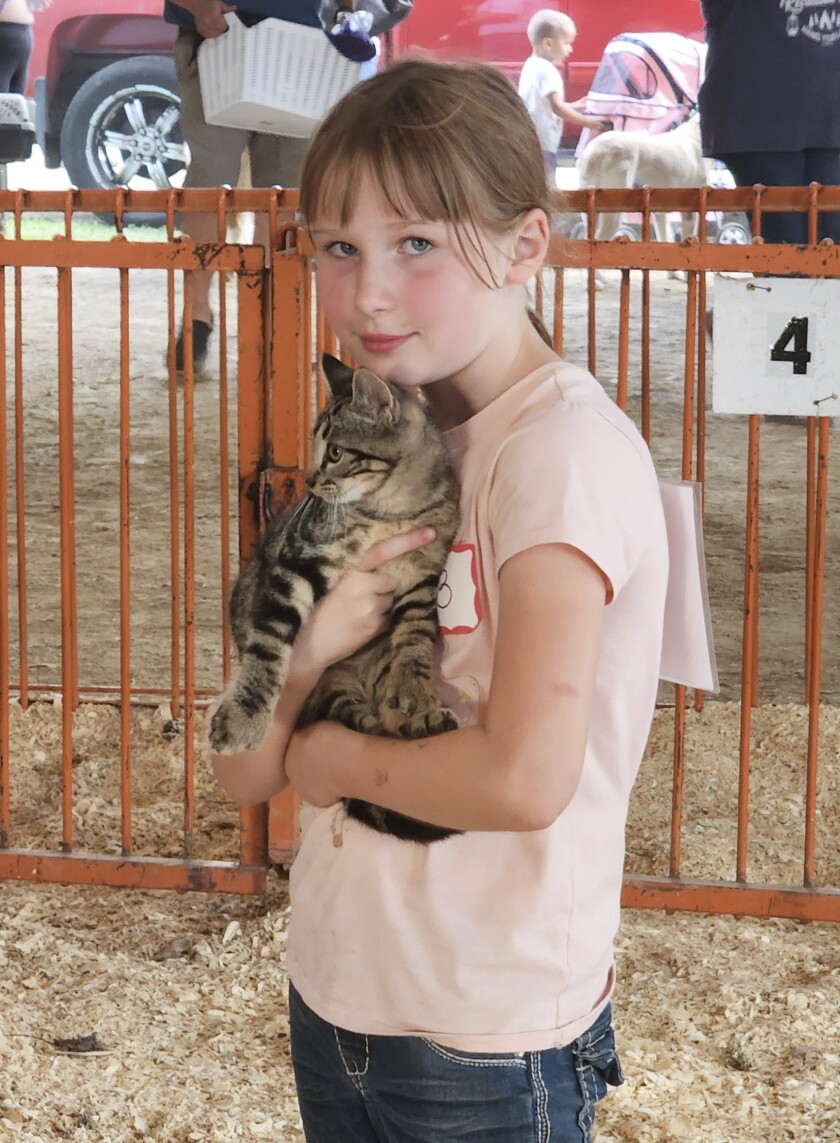 Abagail Nickel, of Mountain Lake, holds Curls, who was later crowned queen during the Household Cat & Kitten Show on Wednesday, Aug. 10, 2022, during the Cottonwood County Fair.