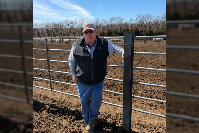 Jerry Litton Ranch Prairie Valley Farm Charolais to hold final bull sale after 46 years ...