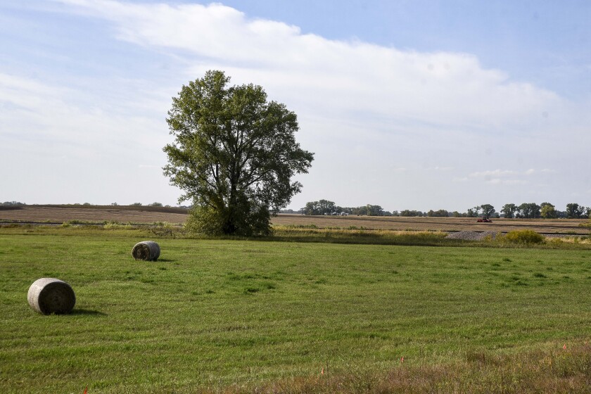 092620.N.WCT.Harvest.0004.jpg