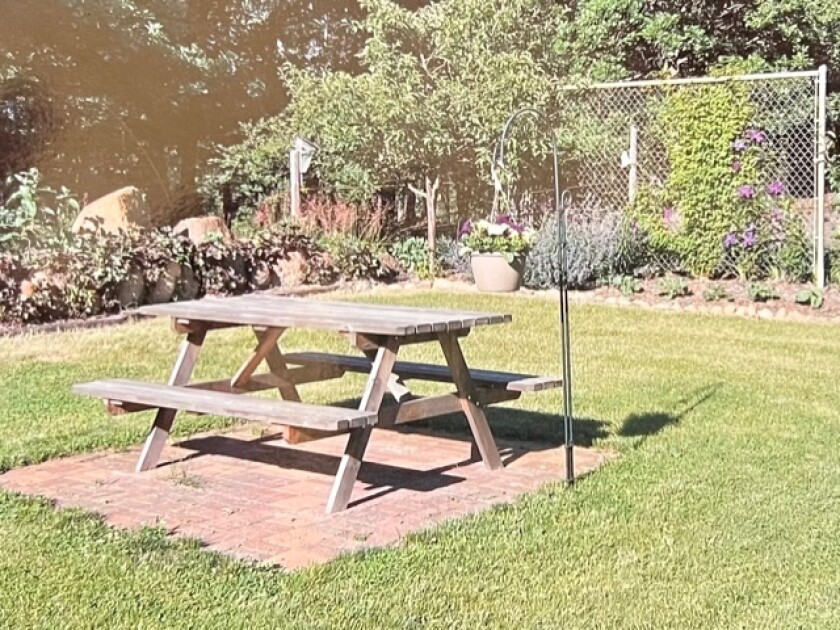 Carr property before.jpg