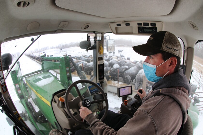 012521.AG.CattleFeedlotDilemma04.jpg