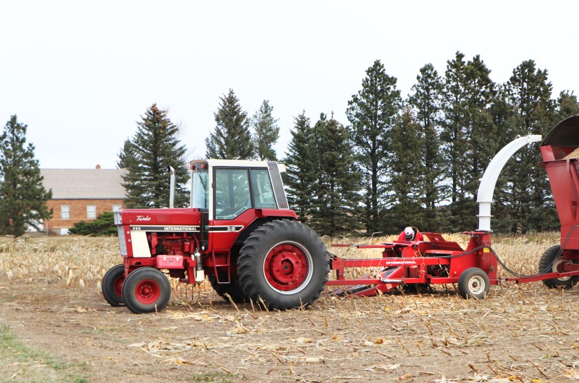 A farmer works on a 1978-vintage corn chopper, between loads during the 2022 harvest. A church yard is in the backgrond.
